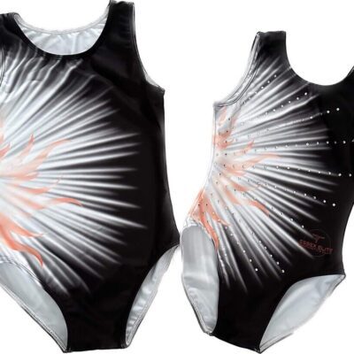 Essex Elite Gymnastics Club