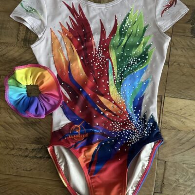 Mambo Rainbow Girls Gymnastics Leotard