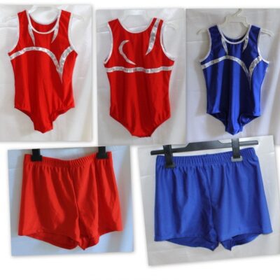 Fan-Tastic Boys Gymnastics Leotard & Shorts