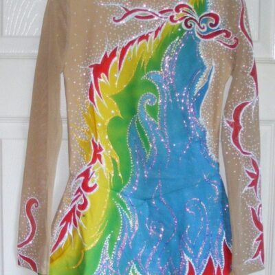 Ice Skating dress/Rhythmic Acro gymnastics leotard/Baton Twirling Costume